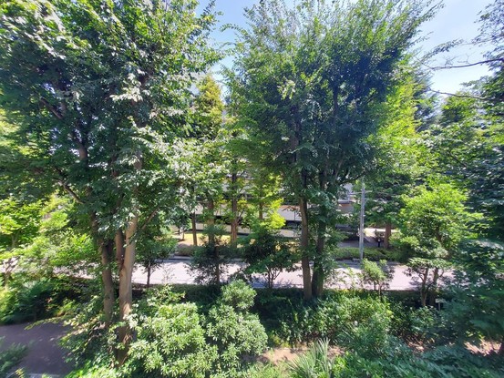 apartment 神奈川県藤沢市湘南台２丁目7-12 門倉第2湘南台ビル2F