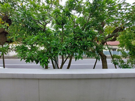 apartment 神奈川県藤沢市湘南台２丁目7-12 門倉第2湘南台ビル2F