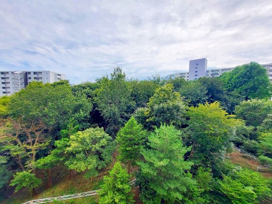 apartment 神奈川県藤沢市湘南台２丁目7-12 門倉第2湘南台ビル2F