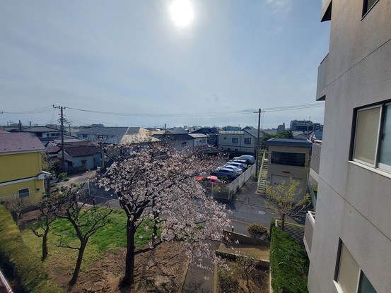 apartment 神奈川県藤沢市湘南台２丁目7-12 門倉第2湘南台ビル2F