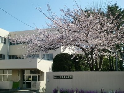 detached 神奈川県茅ヶ崎市東海岸南４丁目
地図を見る