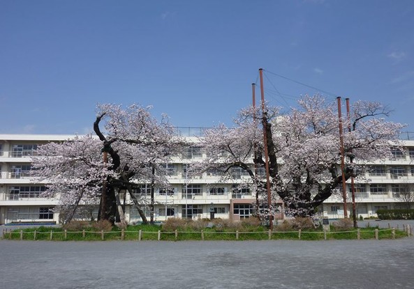 detached 神奈川県秦野市今泉台１丁目
地図を見る