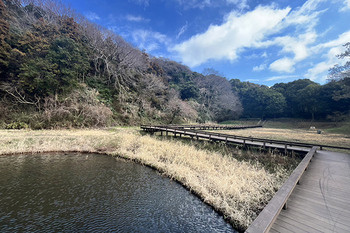 apartment 神奈川県藤沢市藤沢539 永井ビル