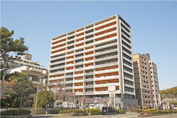 apartment 神奈川県茅ヶ崎市新栄町11番13号