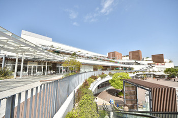 apartment 神奈川県茅ヶ崎市赤松町
地図を見る