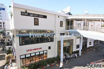 apartment 神奈川県茅ヶ崎市新栄町11番13号