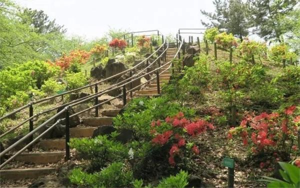 apartment 東京都目黒区自由が丘１丁目13-4 シャイン自由が丘606