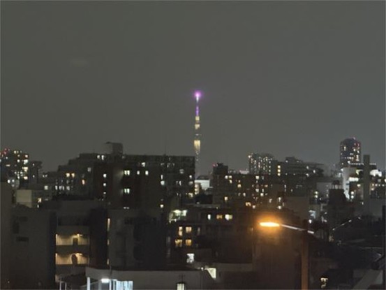 apartment 東京都目黒区自由が丘１丁目13-4 シャイン自由が丘606