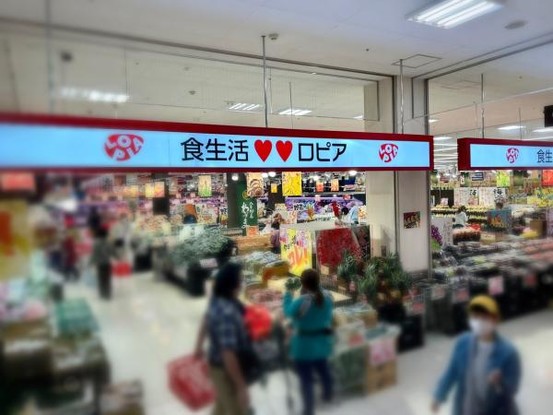 detached 神奈川県厚木市中町２丁目13-14 サンシャインビル5階　503・504号室