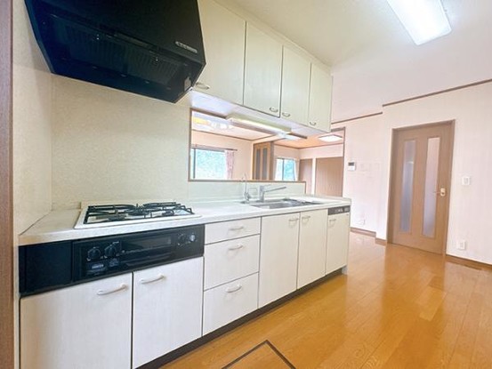 detached 愛知県安城市明治本町8-9