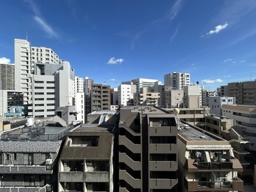 apartment 東京都港区白金１丁目2-1 白金ザ・スカイE-101