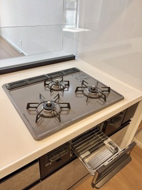 apartment 千葉県流山市おおたかの森西１丁目4-3 ザハウスおおたかの森1階