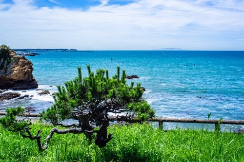 apartment 神奈川県横須賀市秋谷１丁目
地図を見る