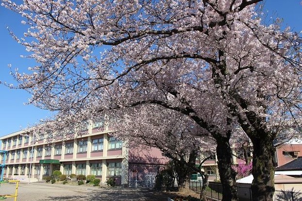 detached 茨城県水戸市栄町１丁目11番地27号 萩谷ビル1F