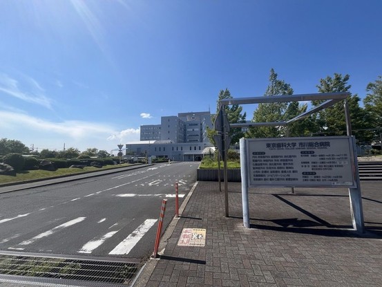 detached 千葉県市川市東菅野２丁目
地図を見る