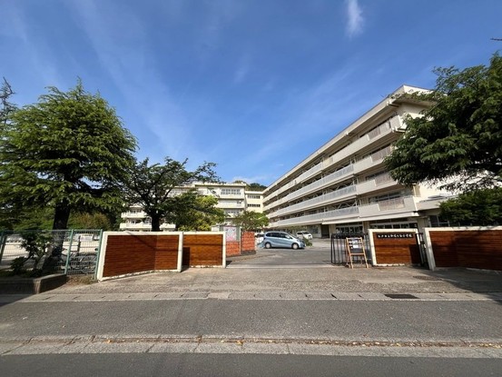 apartment 東京都葛飾区鎌倉３丁目16-3-1f