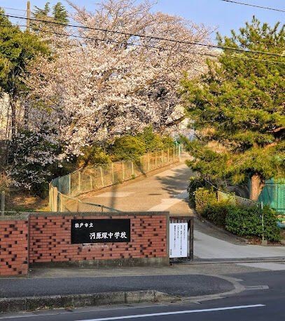 apartment 東京都葛飾区鎌倉３丁目16-3-1f