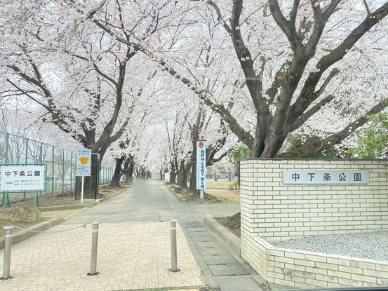 detached 山梨県甲府市大里町5291 セットONE103