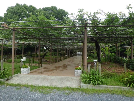apartment 愛知県江南市前飛保町寺町
地図を見る