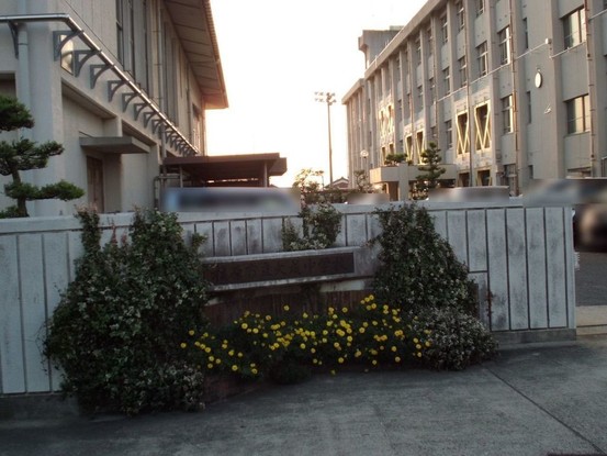 apartment 奈良県橿原市地黄町
地図を見る