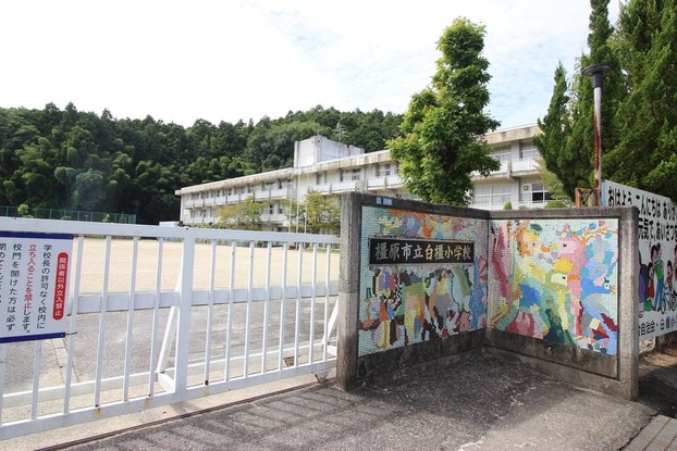 detached 奈良県橿原市白橿町７丁目
地図を見る