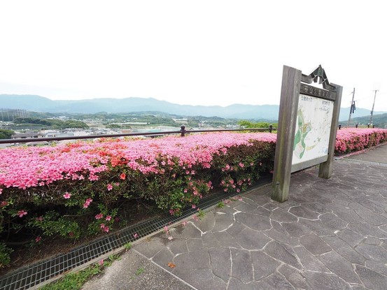 apartment 福岡県福岡市西区大字周船寺2001-4-8