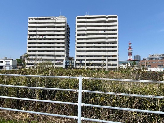 apartment 栃木県宇都宮市天神２丁目
地図を見る