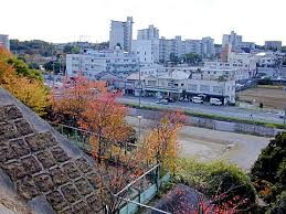 apartment 大阪府八尾市南植松町５丁目182番地 日本TPビル