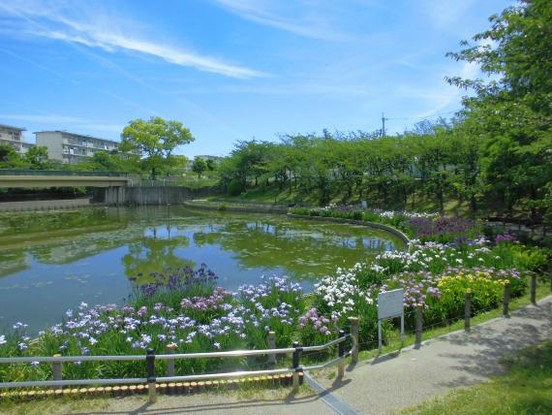 apartment 大阪府八尾市南植松町５丁目182番地 日本TPビル