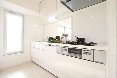 apartment 大阪府八尾市南植松町５丁目182番地 日本TPビル