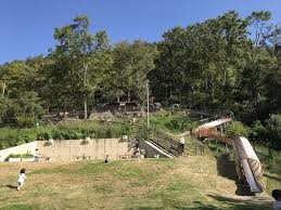 apartment 大阪府八尾市南植松町５丁目182番地 日本TPビル