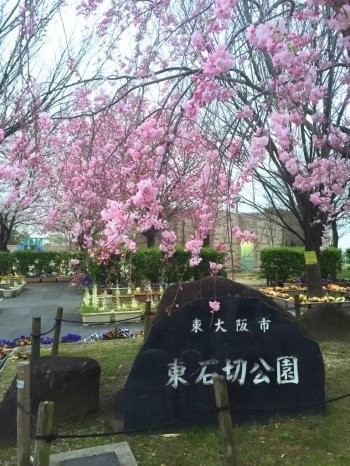 apartment 大阪府八尾市南植松町５丁目182番地 日本TPビル