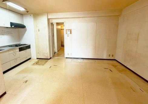apartment 大阪府八尾市南植松町５丁目182番地 日本TPビル