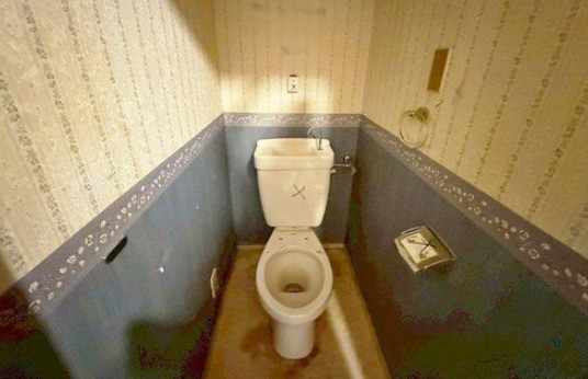 apartment 大阪府八尾市南植松町５丁目182番地 日本TPビル