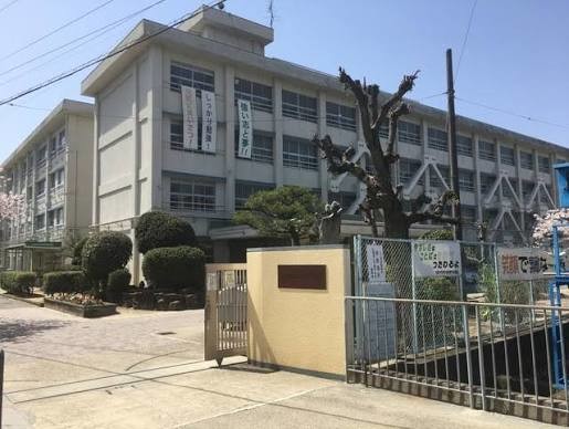 apartment 大阪府八尾市南植松町５丁目182番地 日本TPビル