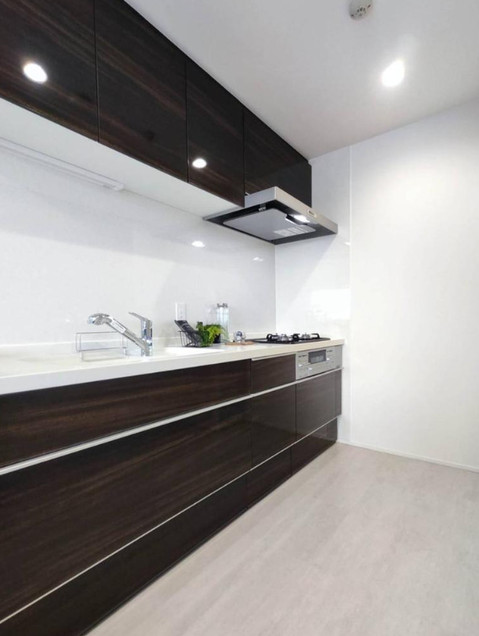 apartment 大阪府八尾市南植松町５丁目182番地 日本TPビル