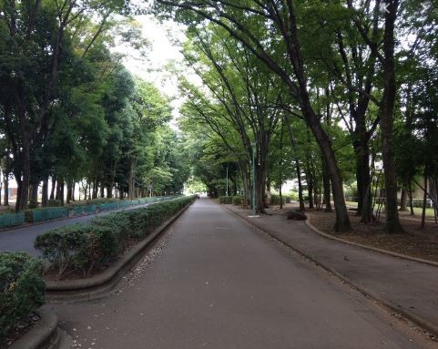 apartment 埼玉県鶴ヶ島市大字上広谷176-1 ニュースカイハイツ102