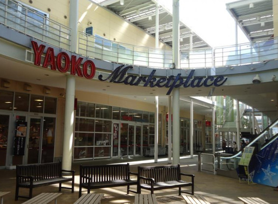 apartment 埼玉県鶴ヶ島市大字上広谷176-1 ニュースカイハイツ102