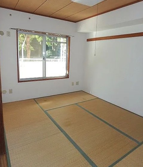 apartment 埼玉県鶴ヶ島市大字上広谷176-1 ニュースカイハイツ102