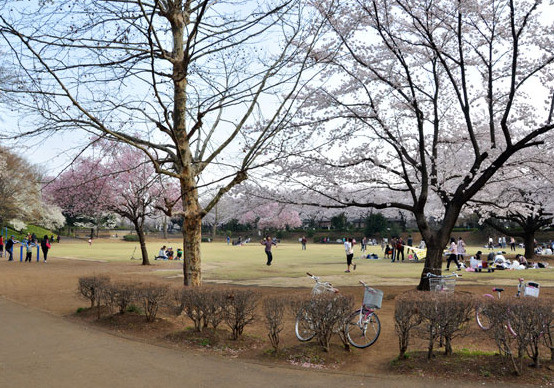 apartment 埼玉県鶴ヶ島市大字上広谷176-1 ニュースカイハイツ102