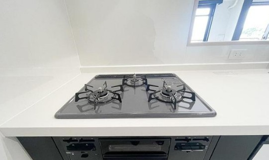 apartment 埼玉県鶴ヶ島市大字上広谷176-1 ニュースカイハイツ102