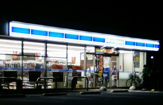 detached 埼玉県鶴ヶ島市大字上広谷176-1 ニュースカイハイツ102