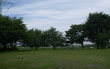 detached 埼玉県鶴ヶ島市大字上広谷176-1 ニュースカイハイツ102
