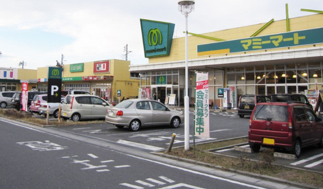 detached 埼玉県鶴ヶ島市大字上広谷176-1 ニュースカイハイツ102