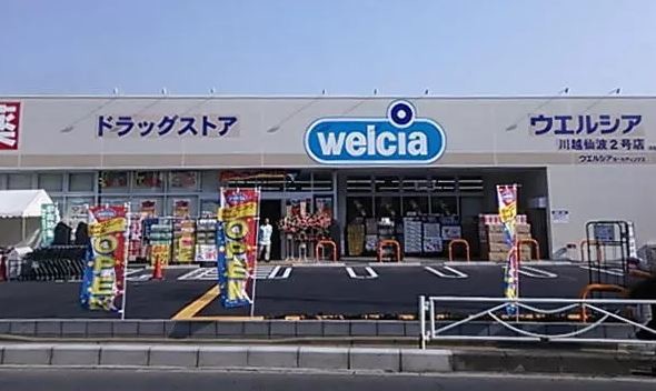 detached 埼玉県鶴ヶ島市大字上広谷176-1 ニュースカイハイツ102