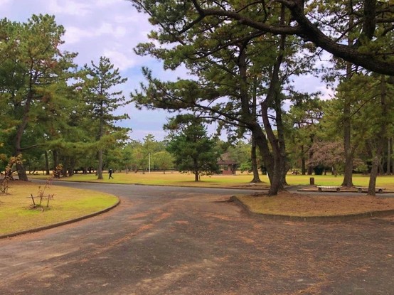 apartment 愛知県豊橋市弥生町字中原
地図を見る