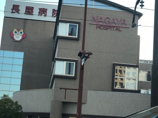 detached 愛知県豊橋市下地町字神田
地図を見る