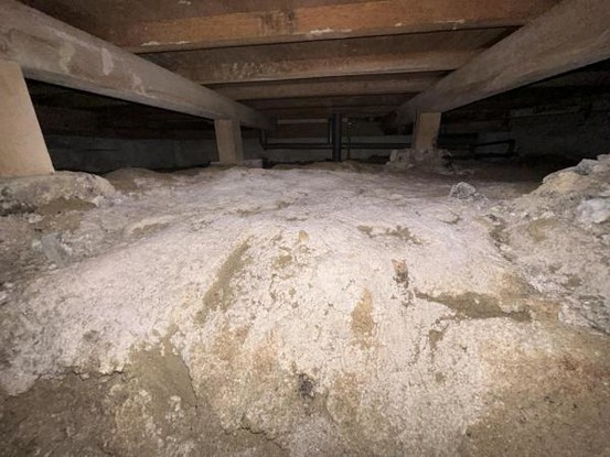detached 愛知県豊田市生駒町大坪17番地　キングスコート豊田生駒　1階