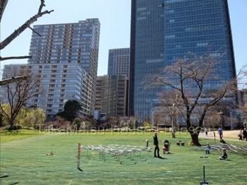 apartment 東京都渋谷区広尾１丁目1-39 恵比寿プライムスクエアタワー６階