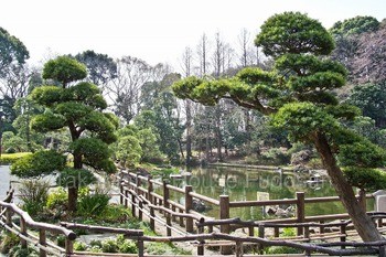 detached 東京都渋谷区広尾１丁目1-39 恵比寿プライムスクエアタワー６階